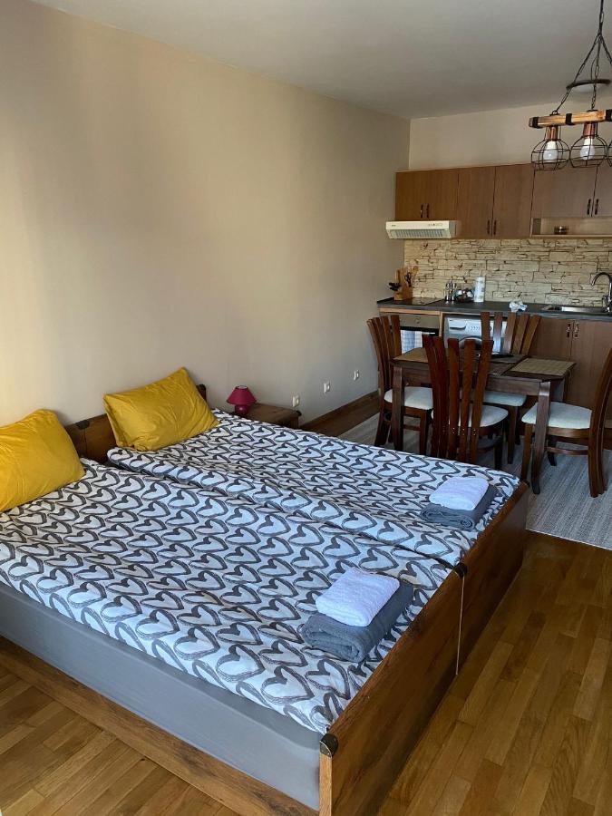 Bansko Spa Studio At Predela1 Luaran gambar